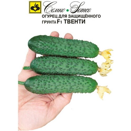 ���� ������ ������ F1 ������ (�� ������ �������) 10 ���� ����� �����, ������ �� 313 ���