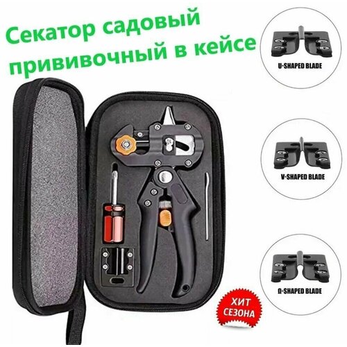 ���� C������ ������� ����������� ��� �������� � ������ � ����� + ����� �����, ������ �� 869 ���