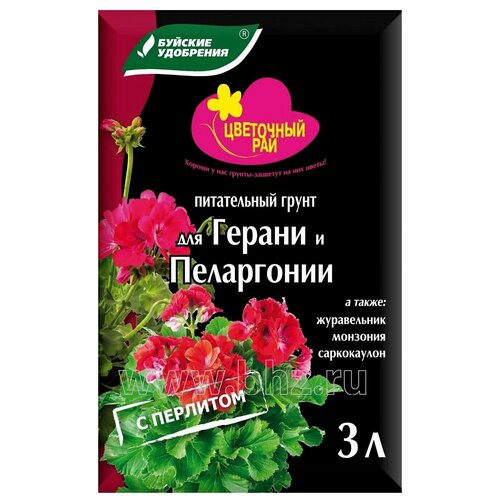 ���� ����� ��� ������ � ���������� 3�, ������ �� 299 ���