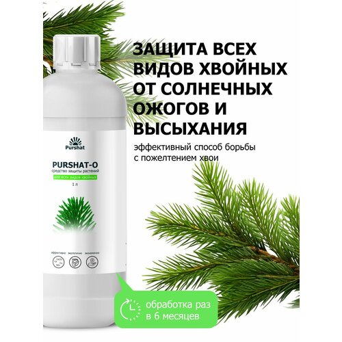 ���� ��������� ������-� ��� ������� �� ��������� ������ � ������ 1 �, ������ �� 1463 ���