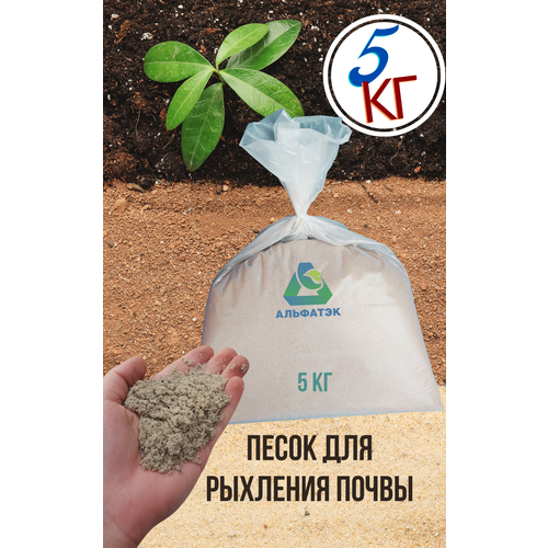 ���� ����� ��� �������� ������ (�����), ��� ����������, ��� �������� (������, ����� � ��.), ����� 5 ��, ������ �� 692 ���