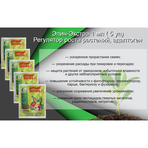  - 1  ( 5 )    ,   455 