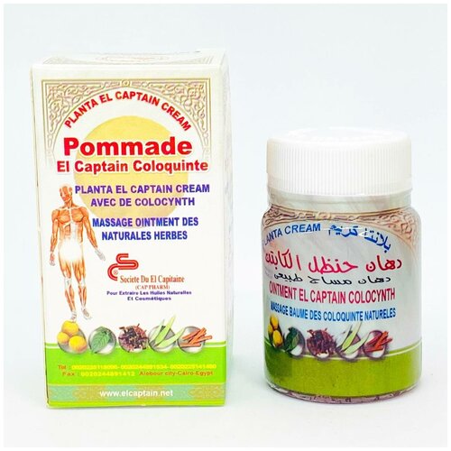 ���� ���� El Captain � ����������� � ������ ������ 50�� / ����������� ��������� ������� ���� ������ ��������� / �������������� , ��� �������� � ����, ������ �� 480 ���