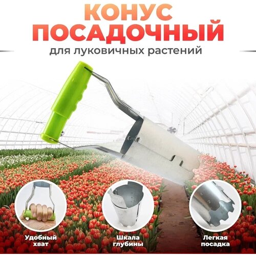 ���� ����� ���������� � ���������� ����������, ������ �� 463 ���