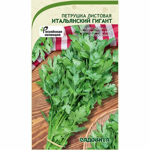 ���� ������ �������� 