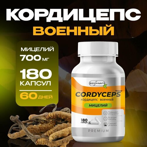 ���� ��������� ������� � �������� 700��, �������� ��� ���������� � ������, ������ �� 1231 ���