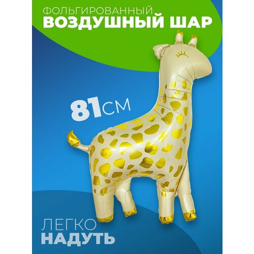 ���� �������������� ��������� ���� �������� �� ���� ��������, ������ �� 276 ���