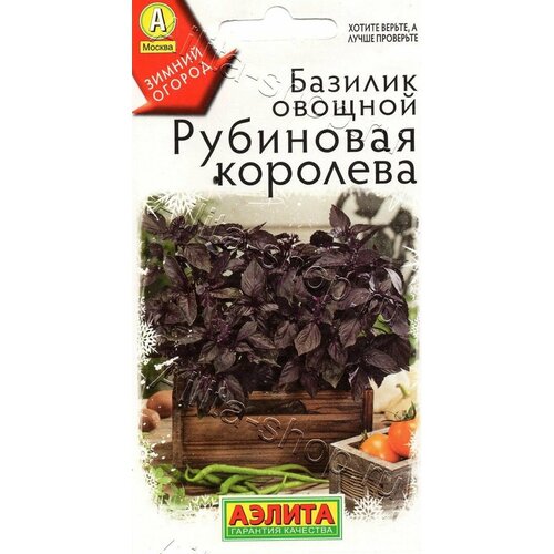 ���� ������ �������� 