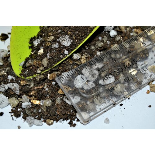 ���� �������� 