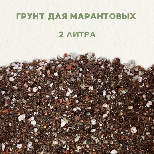 ���� ������� ����� ��� ������� , ��� ��������. ������������� ����� ��� ����������. ����� ��� ������ ��������� . 2 �����., ������ �� 770 ���