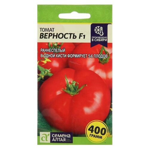 ���� ������ ����� 