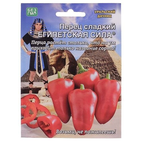 ���� ������ ����� ������� 