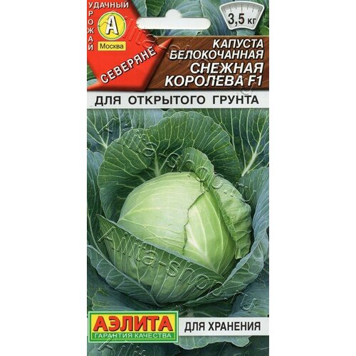 ���� ������ ������� ������ 