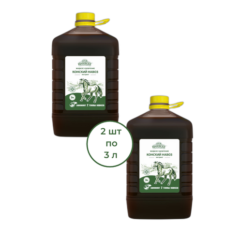 ���� ������� ����� �������� ������ ��������� 3 �, 2 ��, ������ �� 684 ���