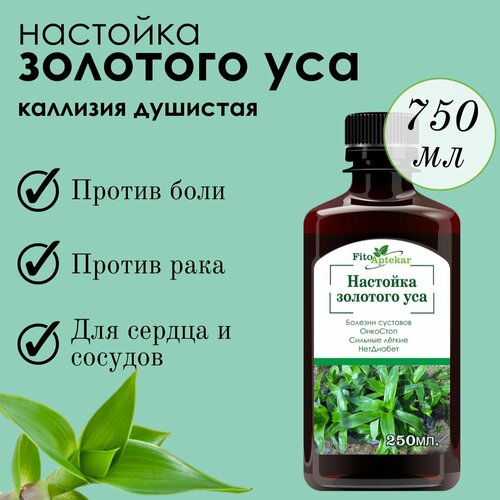 ���� �������� �������� ��� 