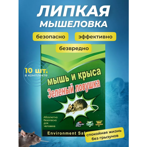 ���� ��������� ������ ��� �����, ������� ��� ���� � �����, 10 ����, ������ �� 994 ���