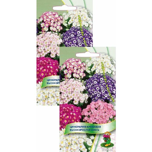 ���� ��������� �������� ����� (0,01 �), 2 ������, ������ �� 349 ���